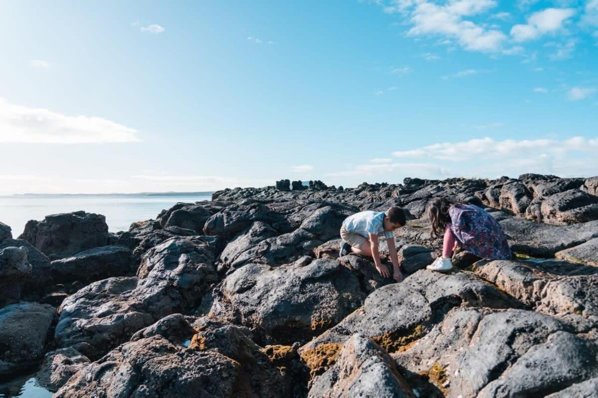 Takapuna Beachfront W Stunning Views Auckland Exterior foto